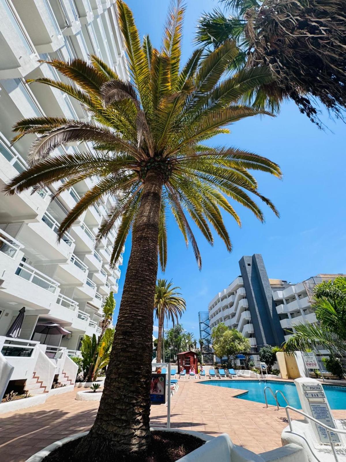 Jameo De Agua, Las Americas Studio Sea View Playa Feñabe المظهر الخارجي الصورة