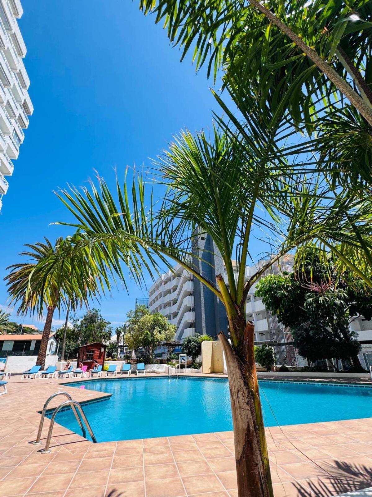 Jameo De Agua, Las Americas Studio Sea View Playa Feñabe المظهر الخارجي الصورة