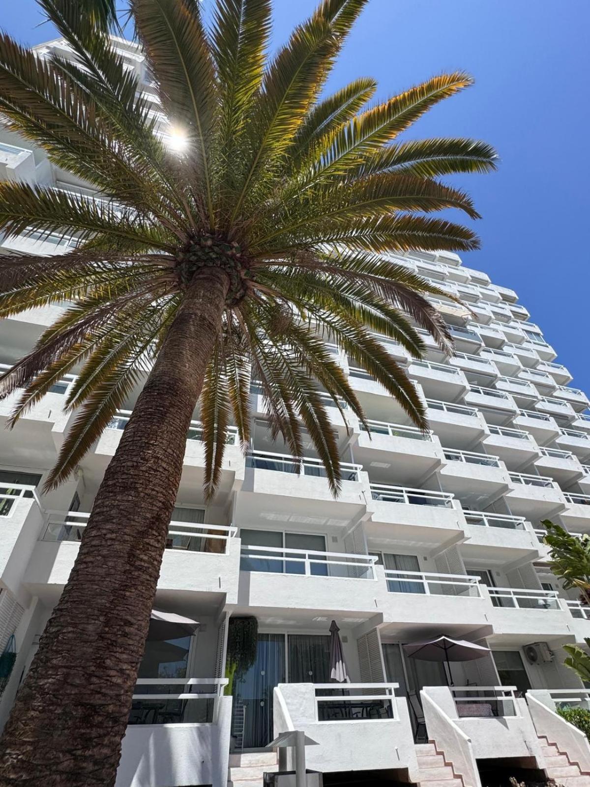 Jameo De Agua, Las Americas Studio Sea View Playa Feñabe المظهر الخارجي الصورة